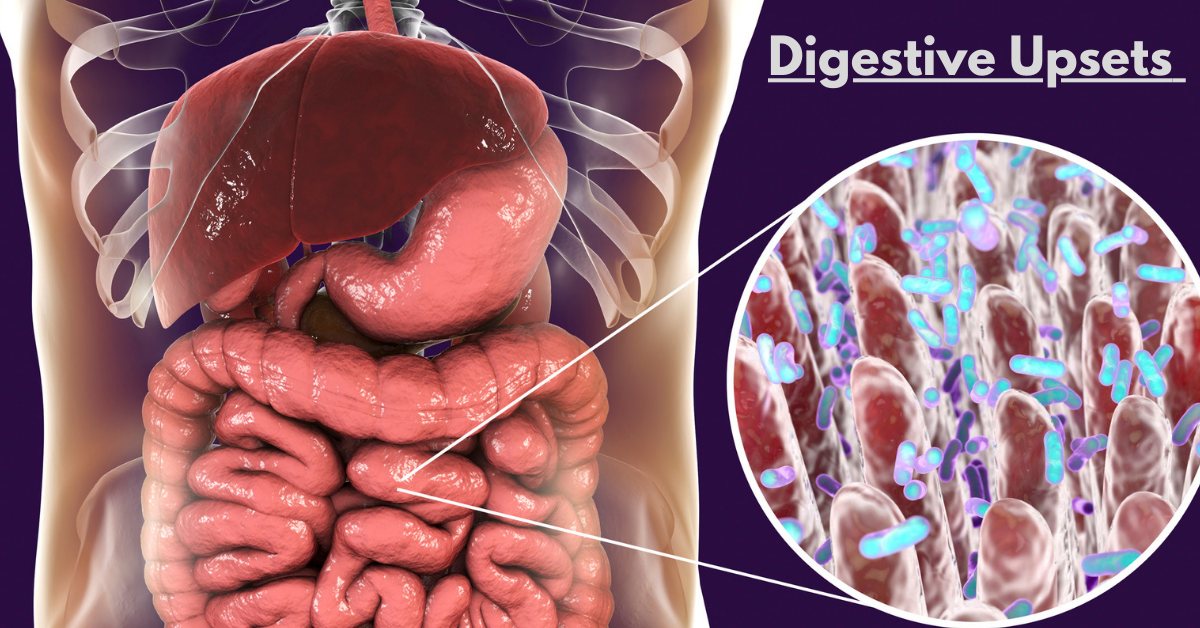 Digestive Upsets: